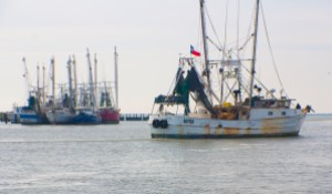 TX Fishing Boats